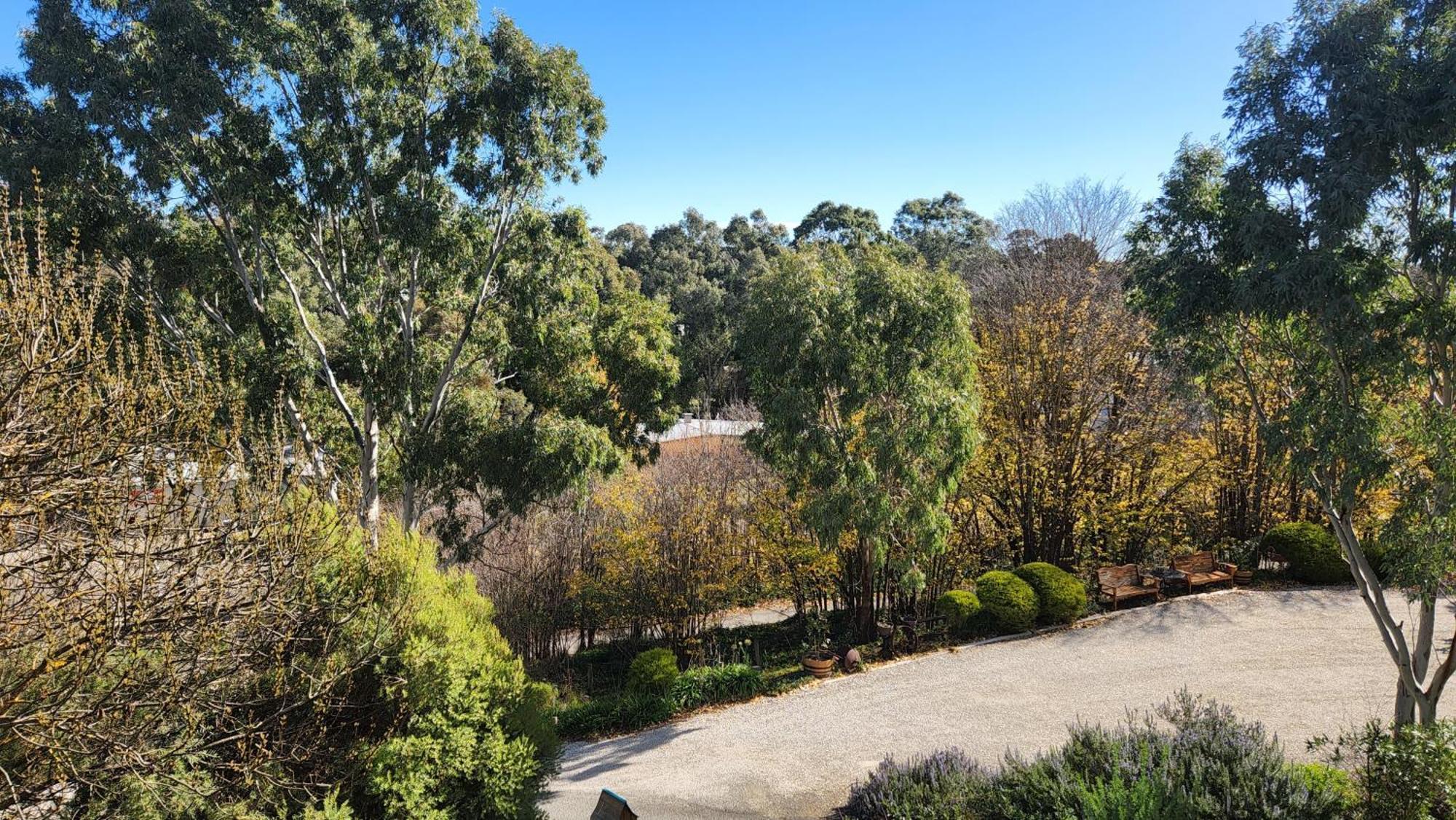 Riesling Trail & Clare Valley Cottages Cameră foto