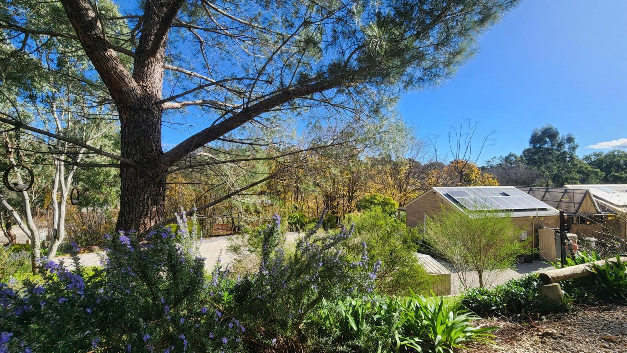 Riesling Trail & Clare Valley Cottages Cameră foto