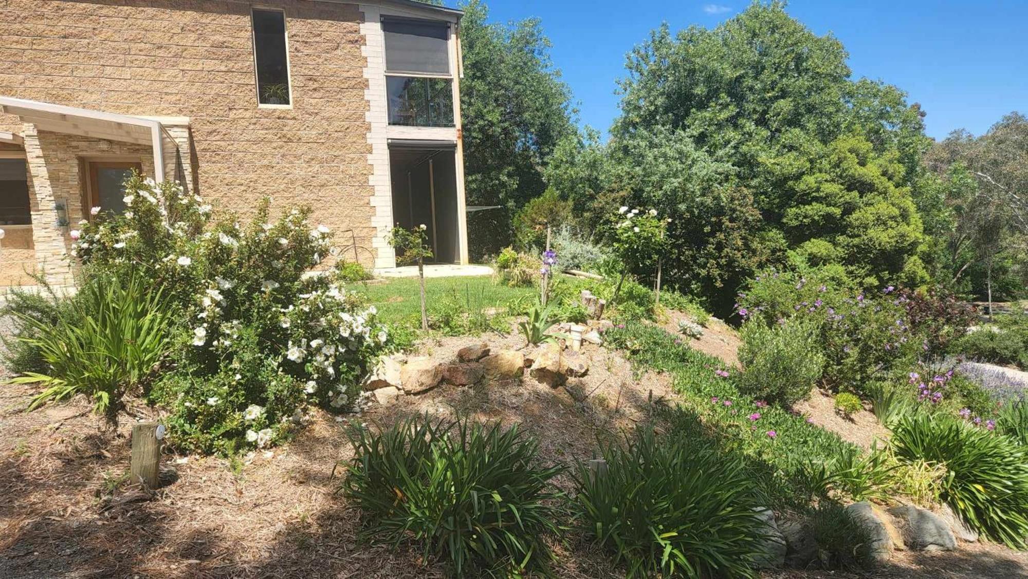 Riesling Trail & Clare Valley Cottages Cameră foto
