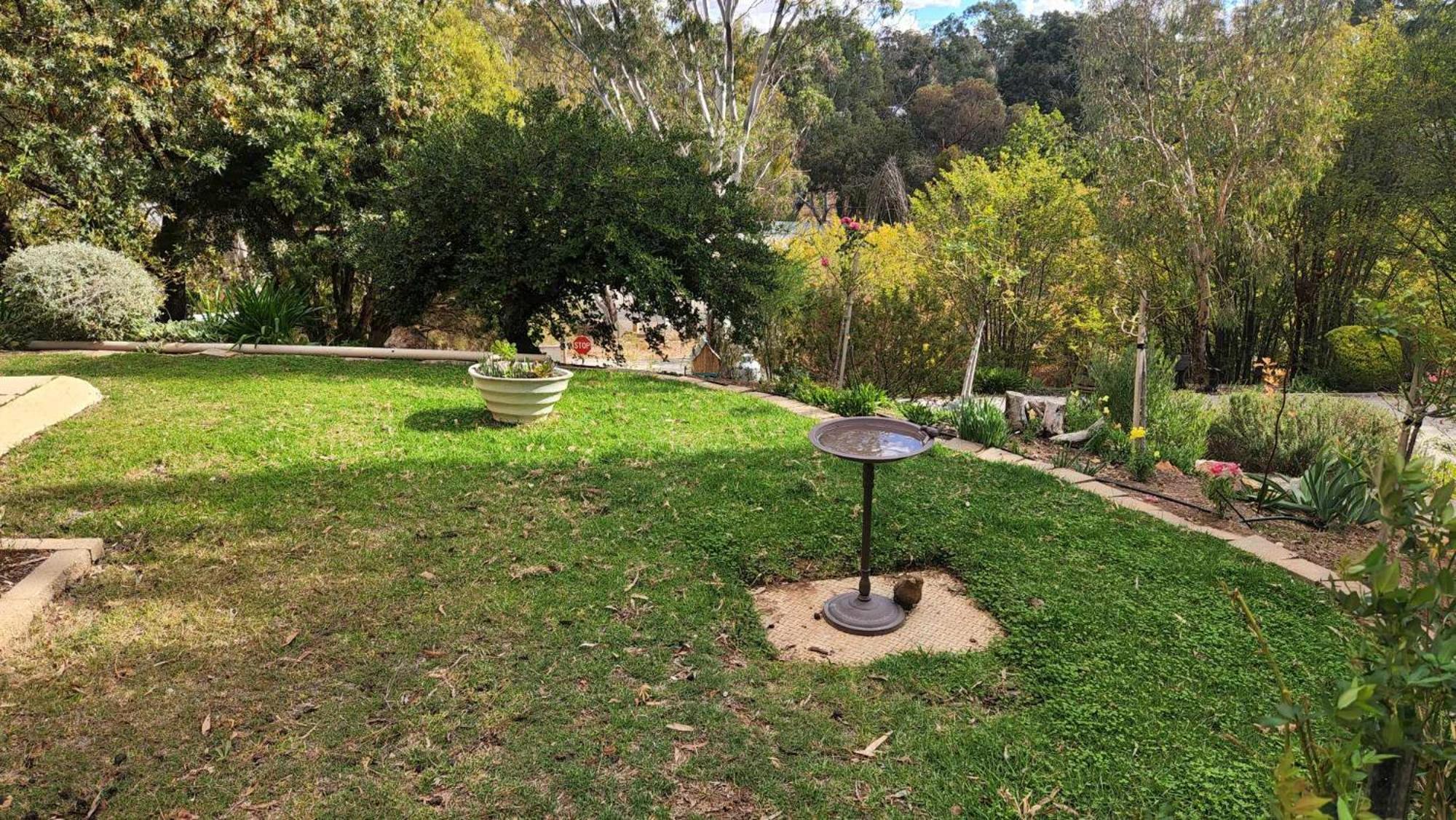Riesling Trail & Clare Valley Cottages Cameră foto